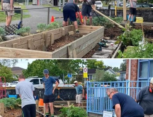 Sunnynook Community Garden