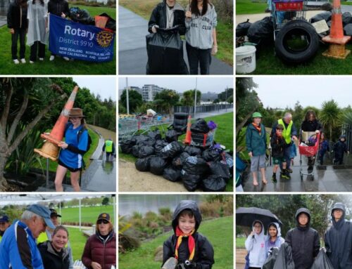 Albany Lakes Clean Up